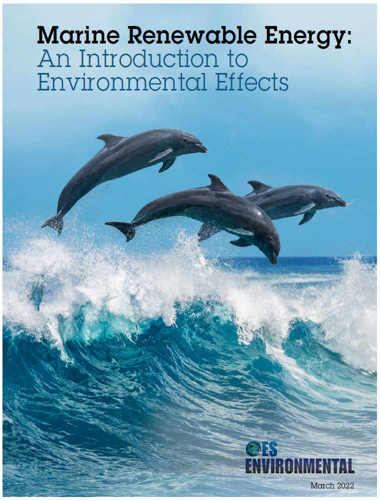 Marine Renewable Energy: An Introduction to Environmental Effects