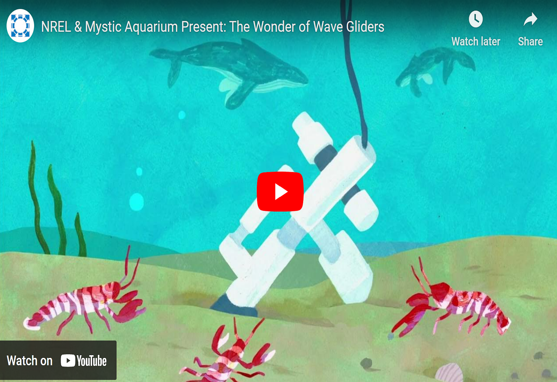 Mystic Aquarium Video