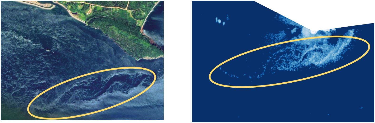 New radar imaging (right panel) reveals spiraling eddies (within yellow ellipse) previously detected via satellite imagery (left panel) in real time, generated during an ebb tide by Cape Sharp in the Minas Passage, Bay of Fundy. Radar-based imaging allows researchers to quantify hydrodynamics so that fish distributions in relation to eddies, wakes and turbulence features can be better understood.  See time-lapse video of radar data in the Minas Passage: https://fundyforcelive.ca/#!/radar