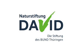 Naturstiftung David Logo