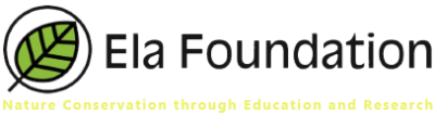 Ela Foundation logo