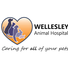   logo of Wellesley Animal Hospital